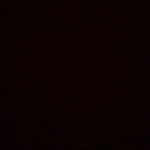 Meet your Posher, Bella